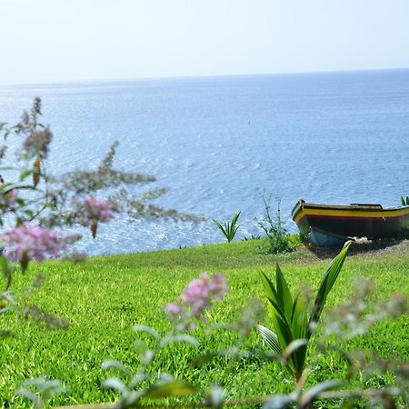 Quinta Golfinho Lejlighed Arco da Calheta  Eksteriør billede